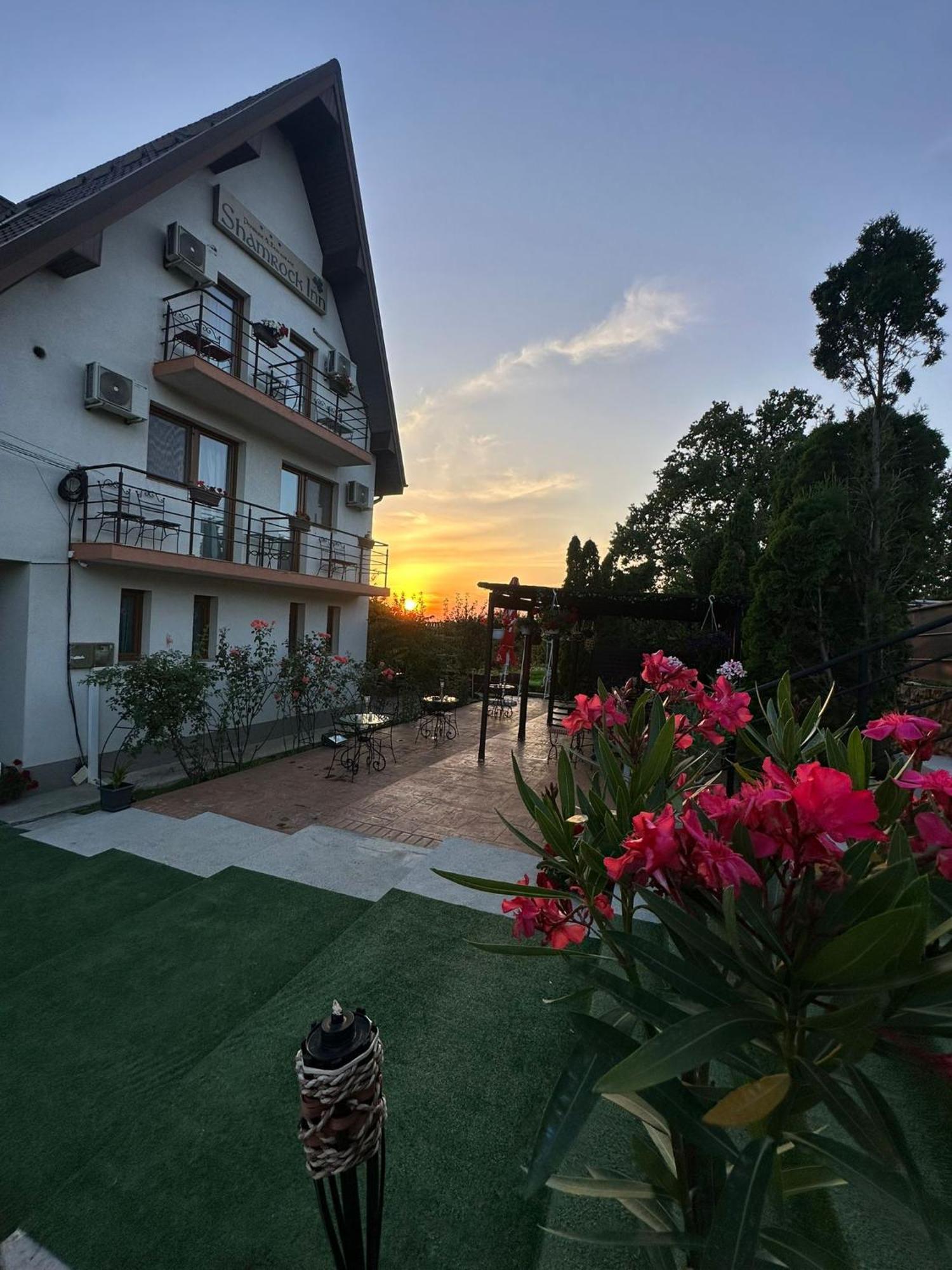 Shamrock Inn Iasi Exterior photo