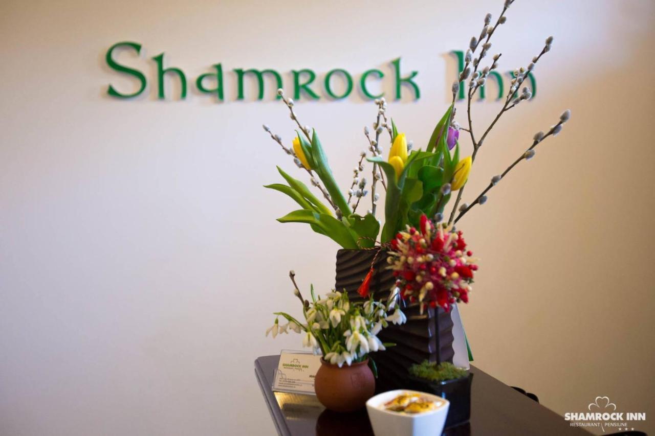 Shamrock Inn Iasi Exterior photo